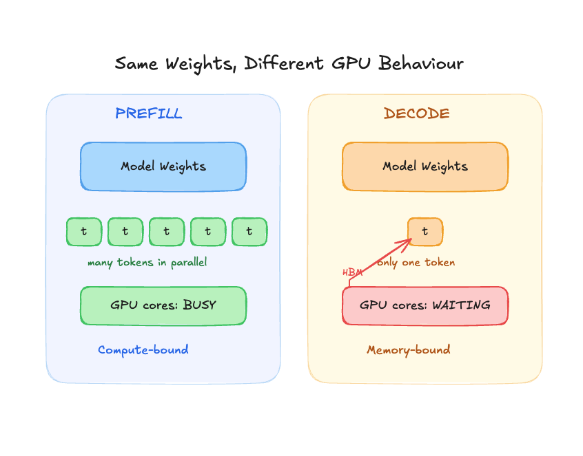 Same weights, different GPU behaviour: prefill vs decode